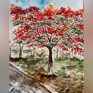 Royal poinciana tree or tabachin tree watercolor